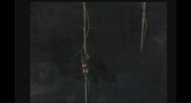 une photo d'Ã©cran de Tomb Raider Legend sur Sony Playstation 2